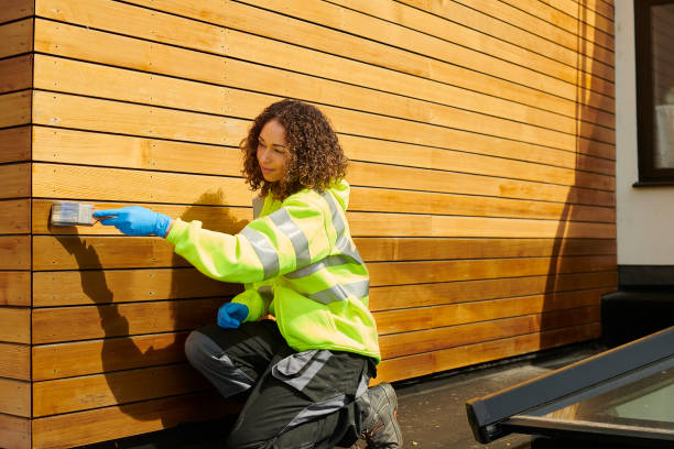 Best Steel Siding Installation  in Cambridge, MN